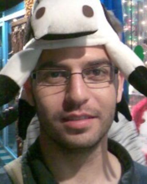 cow.jpg
